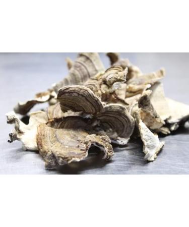 Dried USA Wild Turkey Tail Mushrooms (4 oz.) Wild Harvest Foods (Expiration 12/2026)