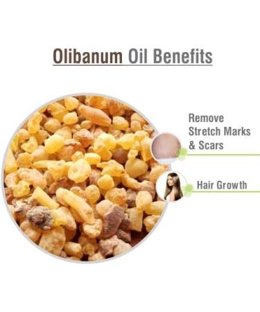Crysalis Olibanum Oil Cosmetic Grade (15 ml / 0.51 fl oz) - Resinous Botanical Oil for Skin Care Hair Blends & DIY Formulations Olibanum 0.5 Fl Oz (Pack of 1) - Buy Online on GoSupps.com