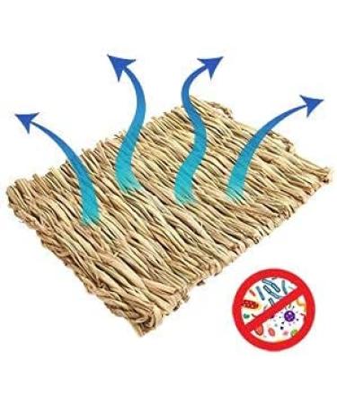 3 Pack Natural Straw Grass Mat for Rabbits and Small Animals - Ideal Resting Bedding for Guinea Pig, Parrot, Chinchilla, Hamster, Rat - Woven Hay Mat for Cage - Buy Online on GoSupps.com