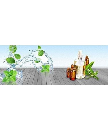 Herbal Magic's Pure and Natural Panch Tulsi Drops-Extract of Five Types of Holy Basil - Shyam Tulsi Shwet Sursa Tulsi Nimbu Tulsi Van Tulsi-Most Revered in Ayurveda-Liquid/Drops 30ml (Pack of 3) 30.00 ml (Pack of 3) - Buy Online on GoSupps.com