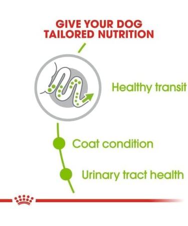 ROYAL CANIN Size X-Small Adult 2-Pack (2 x 500 g) - Buy Online on GoSupps.com