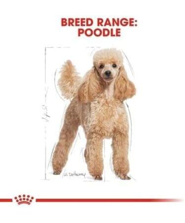 Royal Canin Poodle 1.5kg - Buy Online on GoSupps.com