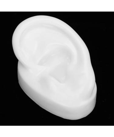 Ear Display Model Silicone Ear Model Silicone Material for Hearing Aids Wearing(Left) - Buy Online on GoSupps.com