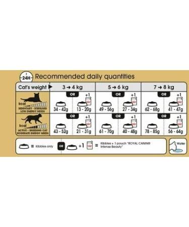 Royal Canin Ragdoll Adult Dry Cat Food 2kg (Pack of 2) - Buy Online on GoSupps.com