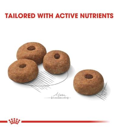 ROYAL Canine Adult STERILISED Maxi 12KG - Buy Online on GoSupps.com