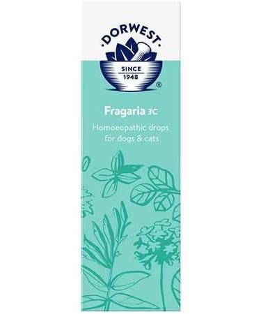 Dorwest Herbs Fragaria 3C Homoeopathic Liquid Remedy for Dogs & Cats - 15ml - Buy Online on GoSupps.com