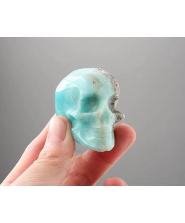 Heteropolar Caribbean Stone Skull Healing Crystal Quratz Hand Carved Human Skull Pocket Statue Figurine Decor Energy Reiki Gemstone Collectible Figurine (Heteropolar Caribbean Stone- Skull) - Buy Online on GoSupps.com
