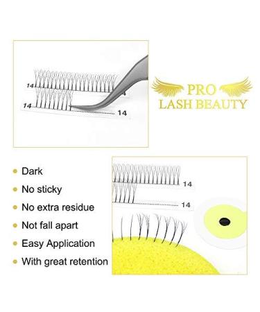 Shop Premium 3D 4D 5D 6D Eyelash Extensions - Finished Eyelash Compartments | 0.07 & 0.10 Volume Options | 5D-C-07 9mm - Buy Online on GoSupps.com