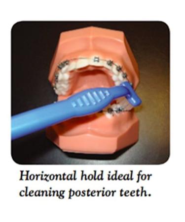 Curvex II Toothbrush - Advanced ergonomic design for superior cleaning - Buy Online on GoSupps.com