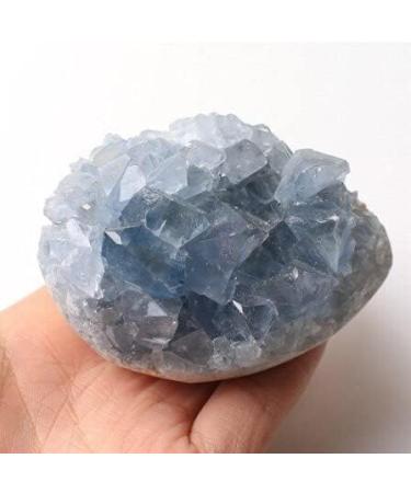 1PC 30-200g Madagascar Natural Celestite Crystal Druzy Cluster Sky Blue Geode Specimen Home Decor Exorcise Evil Spirits Money Drawing Jaspery Shop Company Town House Crystal Cluster (Color : 290-310g - Buy Online on GoSupps.com