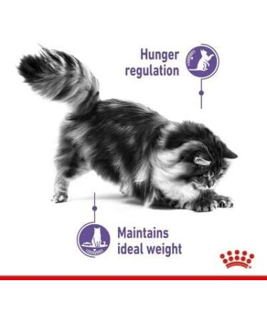Royal Canin Appetite Control Care Adult Dry Cat Food 3.5kg - Buy Online on GoSupps.com