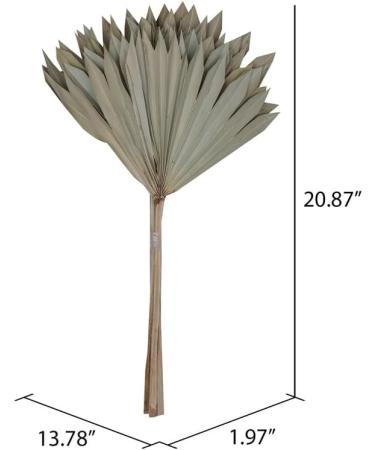 Vickerman Natural Botanicals 20" Natural Palm Sun Stem Real Preserved Foliage Stems Includes 12 Stems Per Pack - Buy Online on GoSupps.com