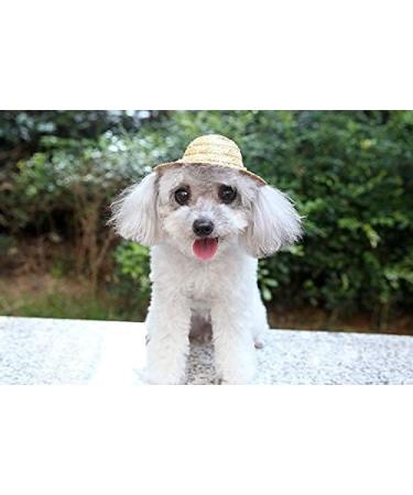 Shop U-M Pet Dog & Cat Straw Hat | Durable Bauer Style Costume | 14cm x 14cm - Buy Online on GoSupps.com