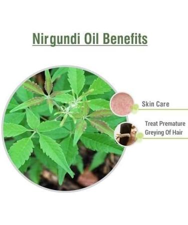 Nirgundi Oil with Dropper 100% Natural Pure Undiluted Uncut Essential Oil (30 ML) Nirgundi 30 ML - Buy Online on GoSupps.com