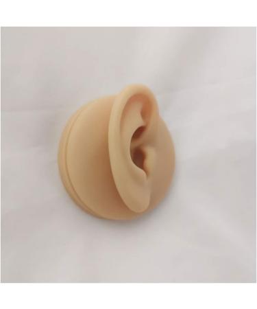 Silicone Ear Model - Simulation Human Ear Model - for Human Body Piercing Acupuncture and Moxibustion Ear Teaching Earrings Earrings Show Left - Buy Online on GoSupps.com