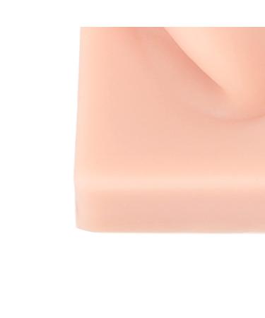 Silicone Ear Model Pair - Human Ear Display Teaching Aid - Fake Ear Practice Piercings Tools - Buy Online on GoSupps.com