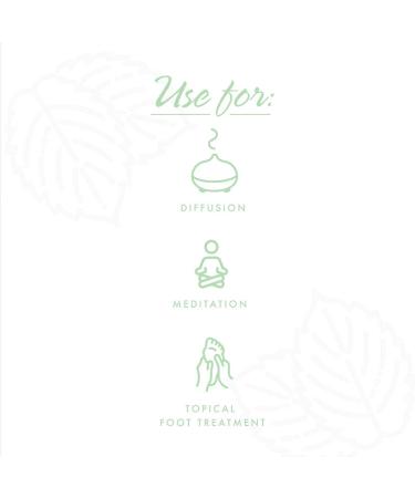 Now Foods Organic Peppermint Essential Oil 4 fl oz - Pure & Natural Aromatherapy - Buy Online on GoSupps.com