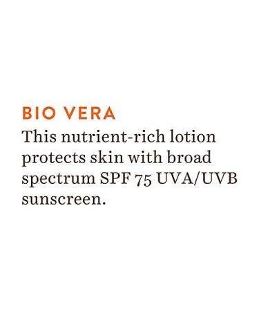 Buy Sun Shield Aloe Vera 75+ SPF UVB Sunscreen Lotion - Ultra Soothing Body Lotion 190ml | International Shipping Available - Buy Online on GoSupps.com