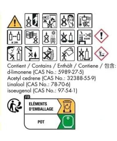 Rigaud BGM287754 Large Bois Pr cieux Candle - Premium Scented Candle for International Shipping - Buy Online on GoSupps.com