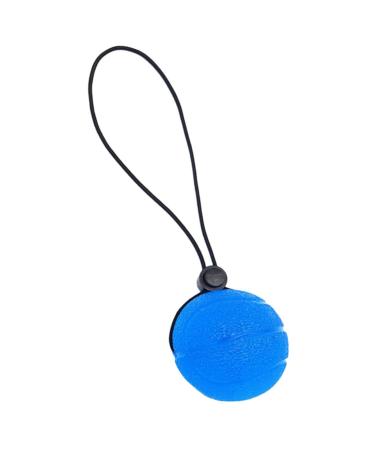 FRCOLOR hand grip ball exercises squeezeball training equipment hand trainer finger trainer hand finger trainer finger strength training equipment grip ball for finger exercises casual gym ball 20x5cm blue