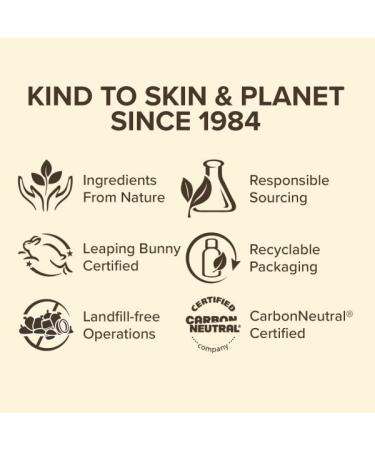 Buy BURTS BEES Daisy Tinted Lip Balm - 4.25 GR | Moisturizing Lip Care Worldwide Shipping - Buy Online on GoSupps.com