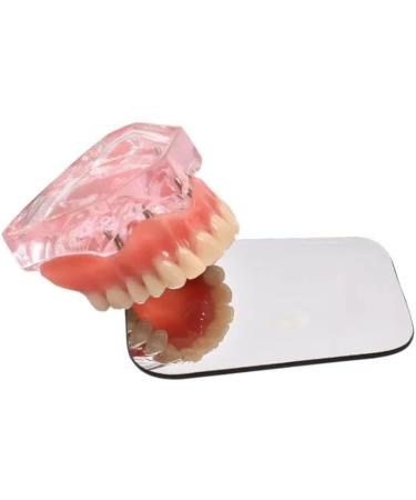 5 Piece Intraoral Mirror Set - Professional Orthodontic Photography | Dual-Sided Reflector for Clinical Dentists | High-Quality Dental Occlusal Mirrors - Buy Online on GoSupps.com