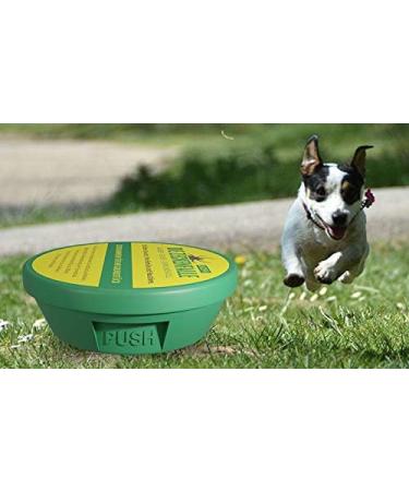 Dizefa Tick Traps (3 Cans) - Original Tick Defense for Gardens | Innovative Protection for Humans & Pets | Reduce FSME & Lyme Risk - Buy Online on GoSupps.com