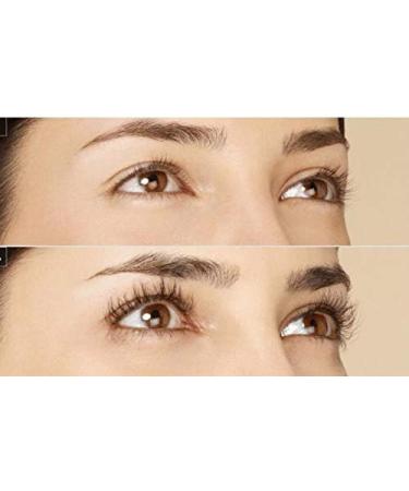 Buy 5 Fresh Bio Aloe Vera Leaves (80 cm 800g) - Premium XXL Barbadensis Miller for Skin Hair & Body - EU Certified Anti-Aging - Ships Worldwide - Buy Online on GoSupps.com