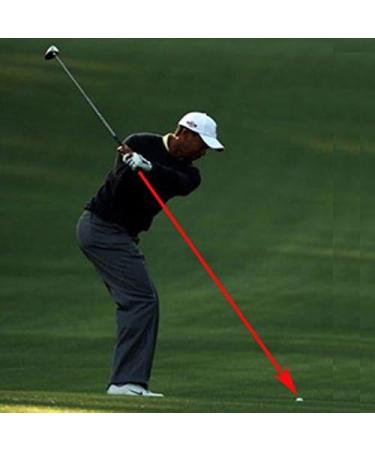Jingwei Golf Swing Trainer: Correct Swing Plane and Posture for Indoor Practice - Buy Online on GoSupps.com