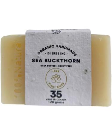 Seabuckthorn - Buy Online on GoSupps.com