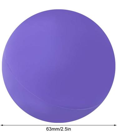 Massage Ball Set - 2 Food-Safe Silicone Acupuncture Balls for Yoga Pilates & Muscle Relaxation - Reusable Purple Fitness Tool - Buy Online on GoSupps.com