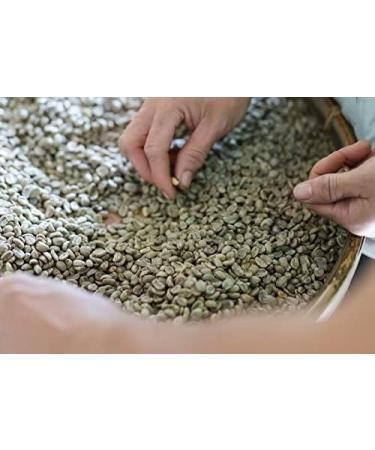 Ethiopian 2kg Green Coffee Beans For Home Roasting Yirgacheffe Green/Raw 100% Arabica Coffee Beans - Buy Online on GoSupps.com