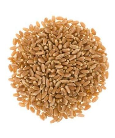 Non-GMO Project Verified Wheat Variety Pack | 9 LBS | Non-Irradiated | Certified Kosher Parve | Field Traced | Cotton Bag | 3 lbs x 3 - Buy Online on GoSupps.com