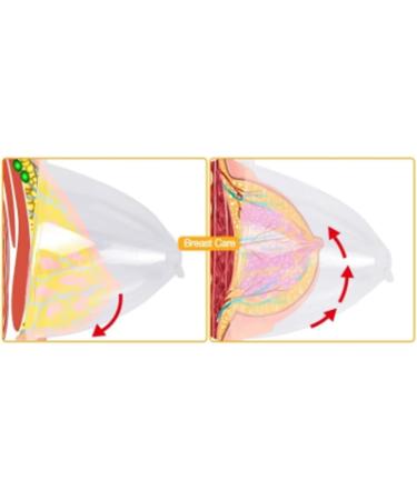 2 Pack Breast Enlargement Pump & Buttocks Suction Cup - 21 cm Diameter Cupping Accessories for Optimal Results - Buy Online on GoSupps.com