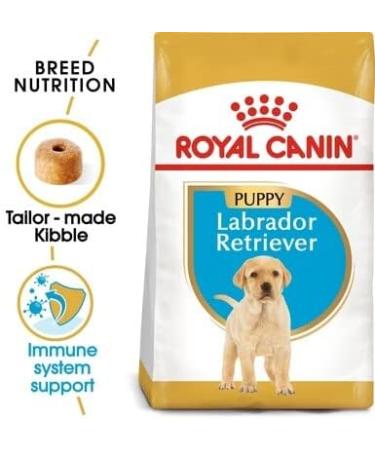 Royal Canin BHN Labrador Retrev Jr 3000 g - Buy Online on GoSupps.com