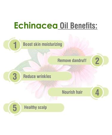 Pure Echinacea Oil 30ml | Natural Hair Care & Skin Care | Hydrate & Nourish - Buy Online on GoSupps.com