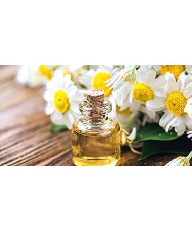 Buy Organic Daisy Oil 60ml - 100% Pure Essential Oil in Glass Bottle - Fresh Flowers Manelya - Imported from France - Buy Online on GoSupps.com