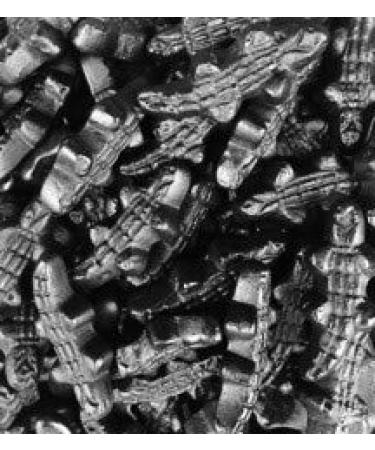 licorice crocodile 2 kg