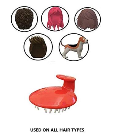10 PCS G.B.S Detangling Shower Scalp Hair Brush & Comb Set - Portable Shampoo Massager for Wet & Dry Hair - Travel Size for Men, Women & Kids - Reduce Dandruff - Professional Quality - Buy Online on GoSupps.com