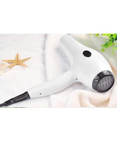 ADITAM Female Male Shop New Hair Dryer Intelligent Temperature Control Hot and Cold Wind Professional Hair Salon Home Hair Dryer/B Double The Comfort - Buy Online on GoSupps.com