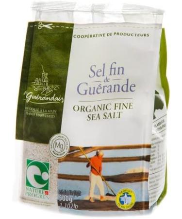 FINE SALT FROM GU RANDE 500G LE GU RANDAIS UNIT - Buy Online on GoSupps.com