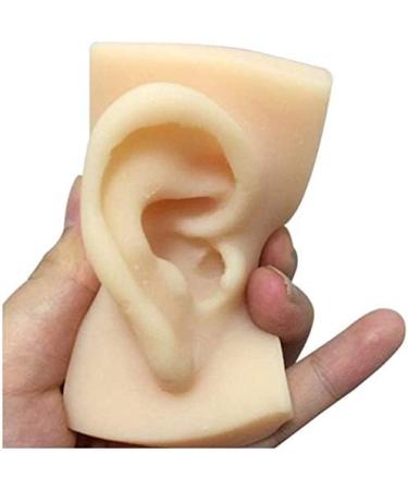 Silicone Ear Model - 1 Pair Silicone Ear Acupuncture Practice Model - Flexible Earmold Artificial Simulation Human Ear for Acupuncture Studs Earring Earphone - Buy Online on GoSupps.com