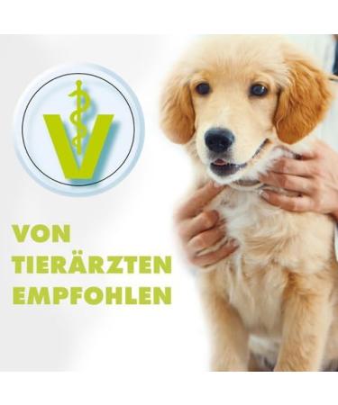 Vipibax Giardia EX Hygiene Spray for Dogs & Cats - 500ml Disinfectant for Giardia Viruses Fungi & Bacteria - International Shipping Available - Buy Online on GoSupps.com