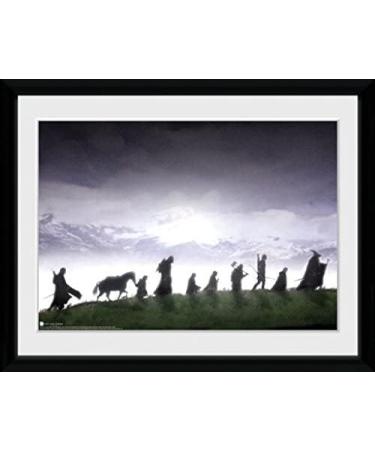 GB eye The Lord of The Rings Fellowship 30x40cm Framed Collector Print - Officially Licensed Merchandise - Buy Online on GoSupps.com