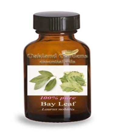 BAY LEAF Essential Oil (5 mL Euro Dropper) - 100% PURE Therapeutic Grade Essential Oil - Laurus nobillis - Essential Oil By Oakland Gardens