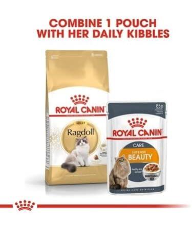 Royal Canin Ragdoll Adult Dry Cat Food 2kg (Pack of 2) - Buy Online on GoSupps.com