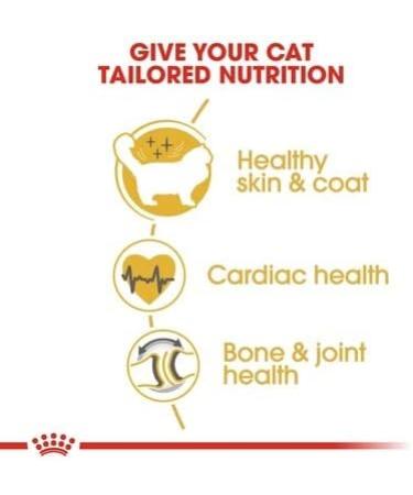 Royal Canin Ragdoll Adult Dry Cat Food 2kg (Pack of 2) - Buy Online on GoSupps.com