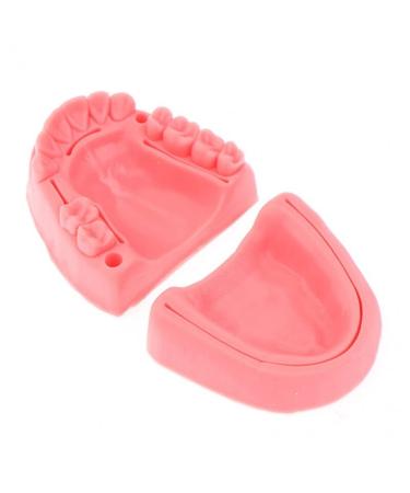 Ericeion 2PCs dental seam practice model 3 in 1 oral seam lessons soft silicone oral multiple -Wound -Gingival -Saht training