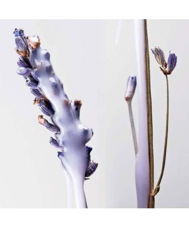 Pureology Hydrate Sheer Double Shampoo 1000 ml - Buy Online on GoSupps.com