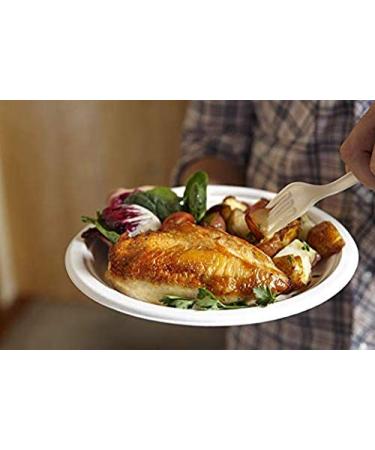 Repurpose Ultra Strong Compostable Forks - 24 Count Eco-Friendly Cutlery - Buy Online on GoSupps.com